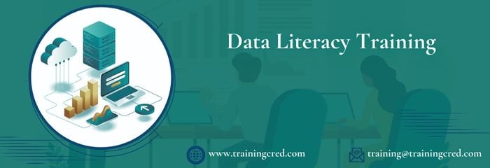 Data Literacy Training