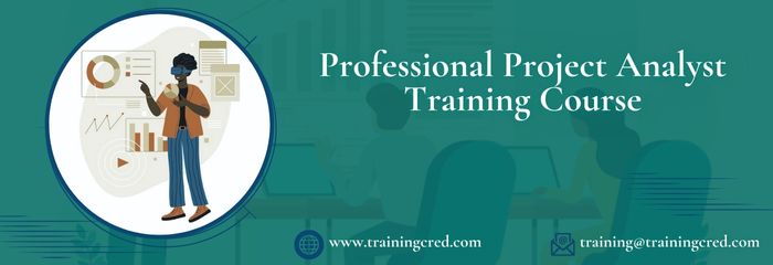 Professional Project Analyst Training