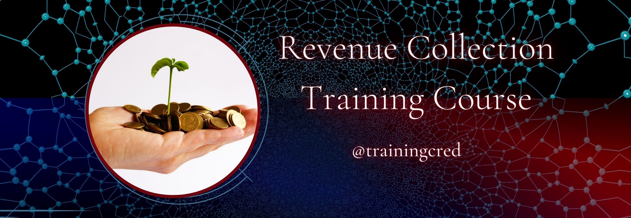 Advanced Revenue Collection Strategies Training